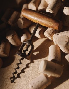 和龍市種苗有限責(zé)任公司